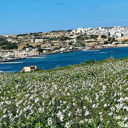 Barcaluna * Marsaskala