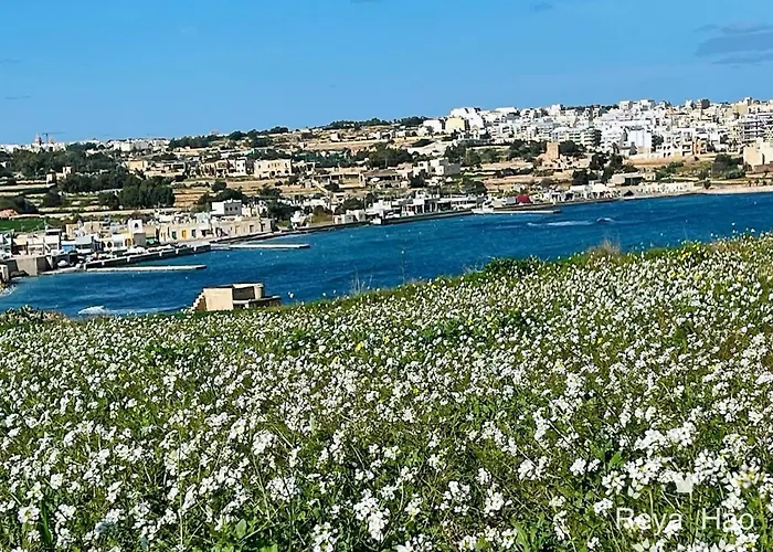 Barcaluna * Marsaskala